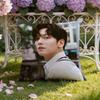 Ji C-Chang W-Wook Cushion Cover Home & Car Dual-Scene Pillow Cover: Reversible for Premium Comfort