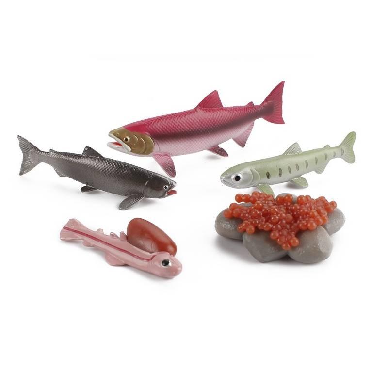 

Childrens Educational Animal And Insect Growth Cycle Pvc Earthworm Octopus Model Set For Kids Learning And Activities Salmon