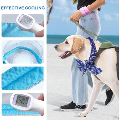 Oblečky a obuv – Doplňky pro psy