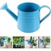 Cabilock Garden Iron Watering Can, Blue, 22x10x10cm, 0.26lbs, Gardening Supplies Kettle, Suitable for Indoor &Amp; Outdoor Plants, Succulents,
