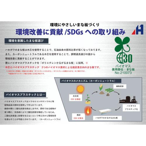 Hasegawa Polyethylene Antibacterial Lightweight Green 460 x 260 mm SDK20-4626 G