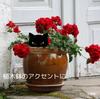 bubulu Black Cat Kuroneko Gardening Garden Garden Gardening of of 2 Black Merchandise, Objects, Accessories, Figurines, Ornaments, [Set 2] (Set Cats)