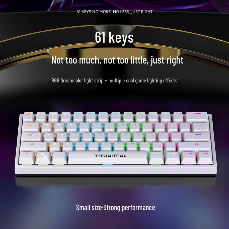 Y-FRUITFUL K33 Gaming Wired Mechanical Keyboard