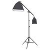 Vidaxl Photographic Studio Set with Lamps and Backdrops