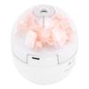 Konservierte Blume USB Luftbefeuchter mit 2 Nebelmodi 120 ml Wassertank Ätherischer Öldiffusor Nacht