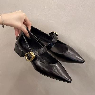 Mode 2025 Neue spitze Mary Jane Einzelne Schuhe Damen Frühling Neue Mode Retro Flacher Ausschnitt Dicker Absatz Kleine Schuhe
