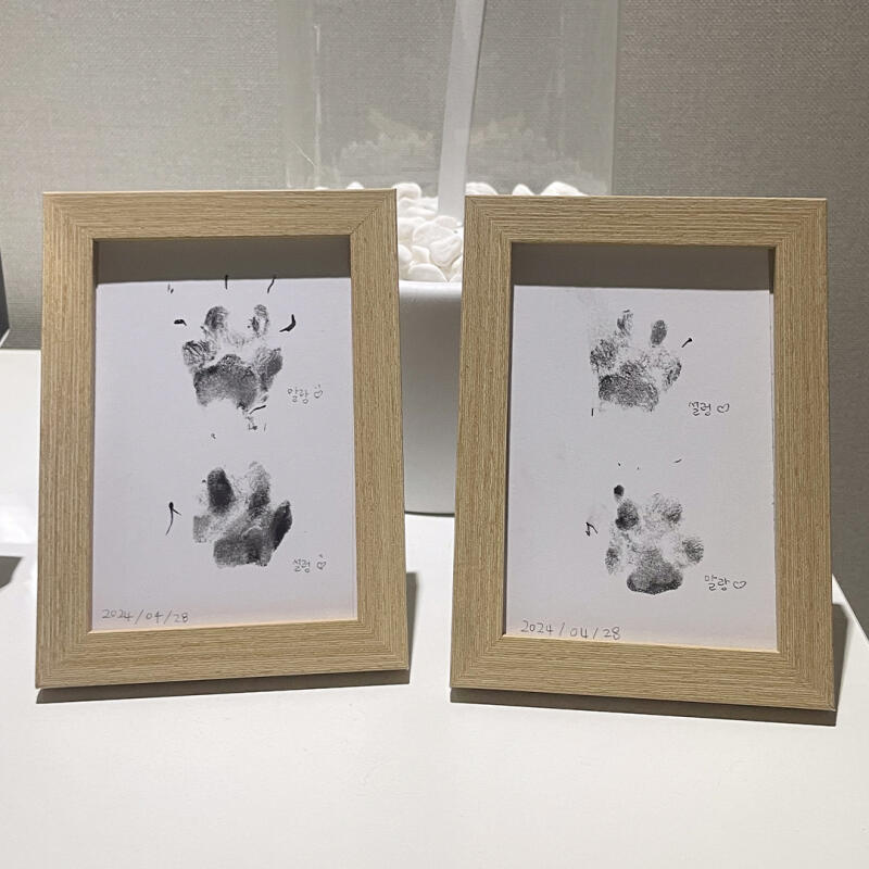 Yavru Köpek Pati İzi Anıları Çerçeve Kiti Ayak İzi Kendinden Damgalı