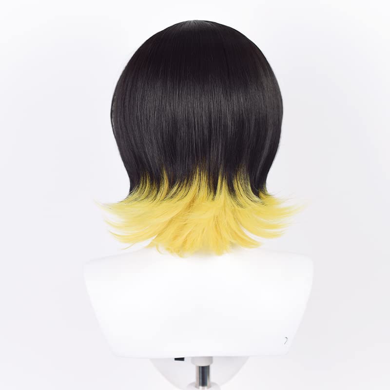 Blaues Locken-Stil Horaku Mawaki Perücke, Cosplay Perücke, Hitzebeständig, Schulveranstaltungsperücke mit Netz (Horaku Mawaki [Perücke])