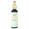 Original Flower Remedies, Chicory, 0.7 Fl Oz (20 Ml)