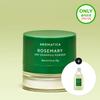 AROMATICA Rosemary Dry Shampoo Powder 10g Set (+Rosemary Shampoo 100ml)