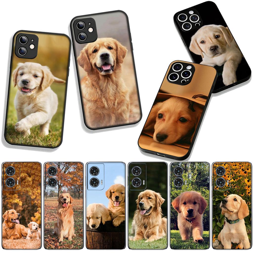 Phone Cover Golden Retriever Dog Pet Casing for Xiaomi Redmi Note 15 11 9 10 Pro Plus A5 9A 9T 10A 10C 9C NFC 15C 8T Case