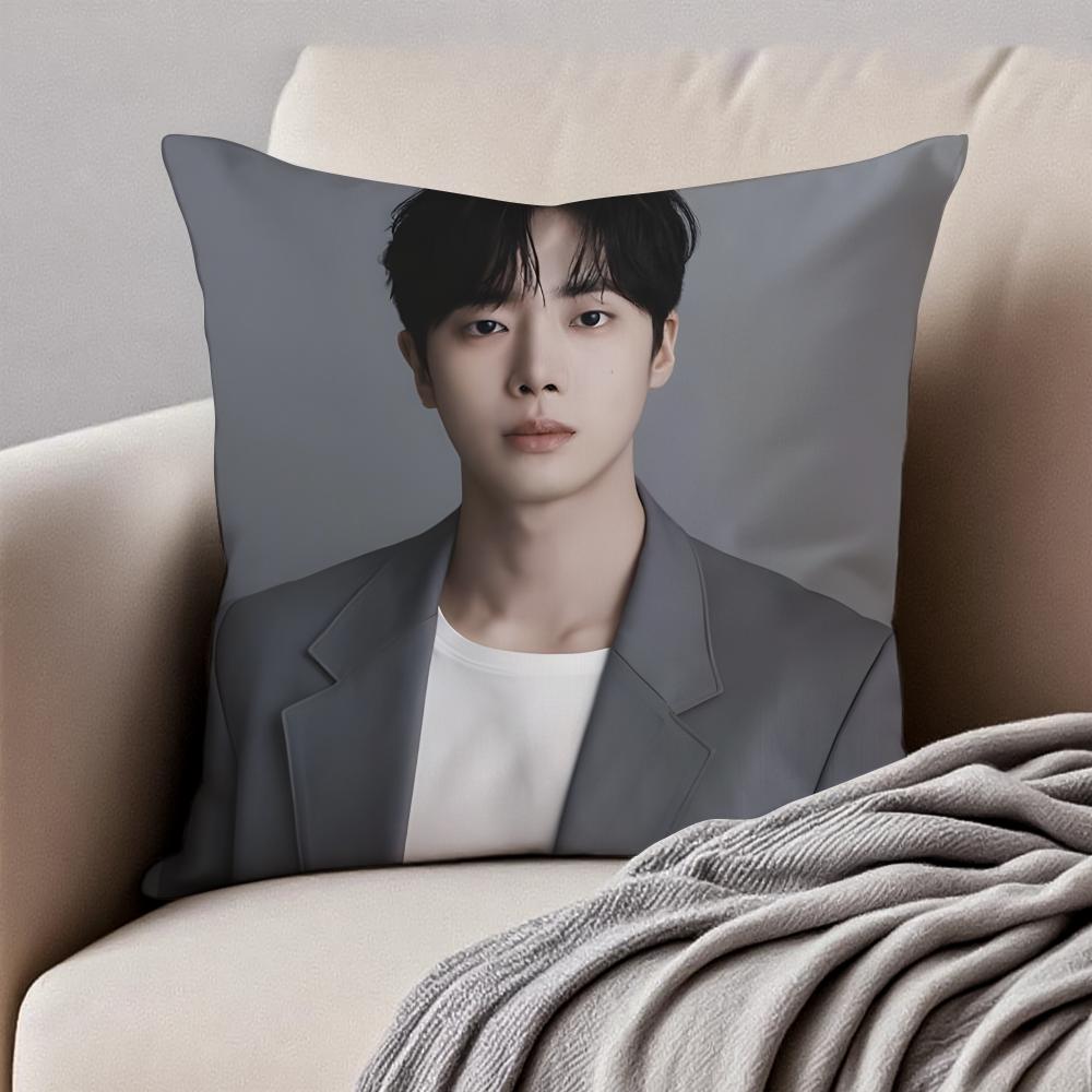 POP Korea CChoo YoungWoo Cushion Cover Pillowcase Antidustmite Invisible Zipper Short Plush Sofa Cushion