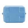 Coleman Take 6 Cooler Ideal for sports cherry blossom club packed and outdoor Features strong durable and excellent heat (Daydream) Box fishing,