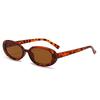 Trendy European & American Street Style Sunglasses for Outdoor Sun Protection