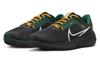 Nike Pegasus 40 Green Bay Packers DZ5964-001