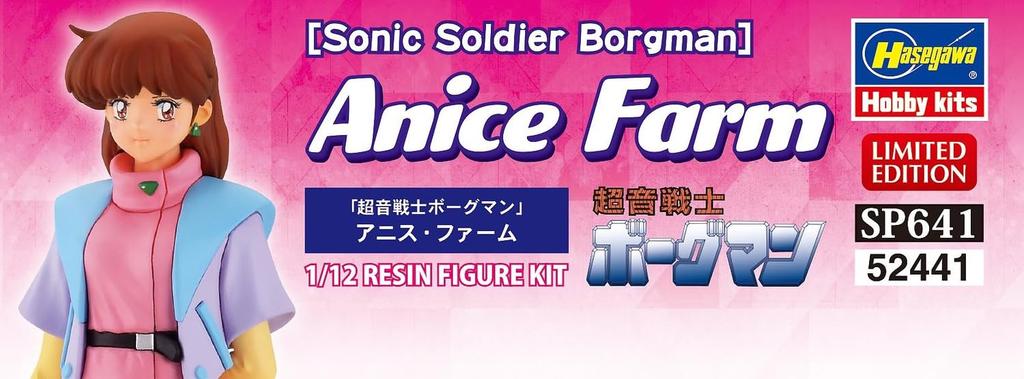 Hasegawa Ultrasonic Warrior Borgman Anise Farm Scale Unpainted Resin Kit SP641 1/12 (person)