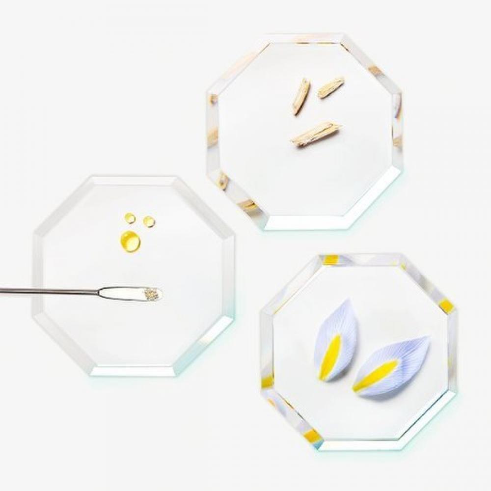 Rene Furterer Triphasic Anti Aging Serum Duo 100ml  +forticia Shampoo 250ml Gift 