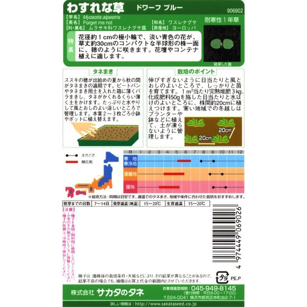 Sakata Seed Misaki Flower Forget-Me-Not Dwarf Blue Seeds 0.2ml - Authentic Japanese Floral Gardening Supplies