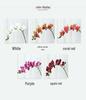 Lan Kwai Fong Luxurious Phalaenopsis Artificial Flowers for Living Room Decoration