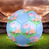 Pink Pig Cartoon Indoor Soccer Ball Colorful All Ages Size 5 Machine Stitched PVC Competition Ready Durable High-Bounce
