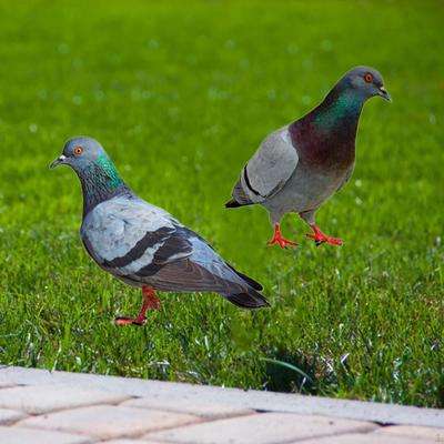 2x Pigeon Statues Garden Stakes Animal Sculptures,Yard Art Bird Figurines Ground Insert for