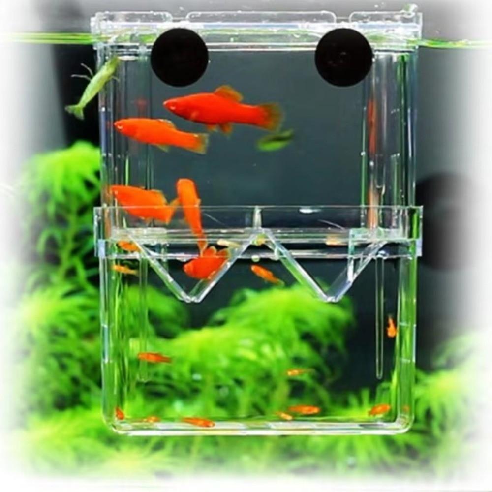 Transparent Fish Breeding Box Isolation Fish Isolation Box Aquarium Breeder Box  Aquarium Supplies