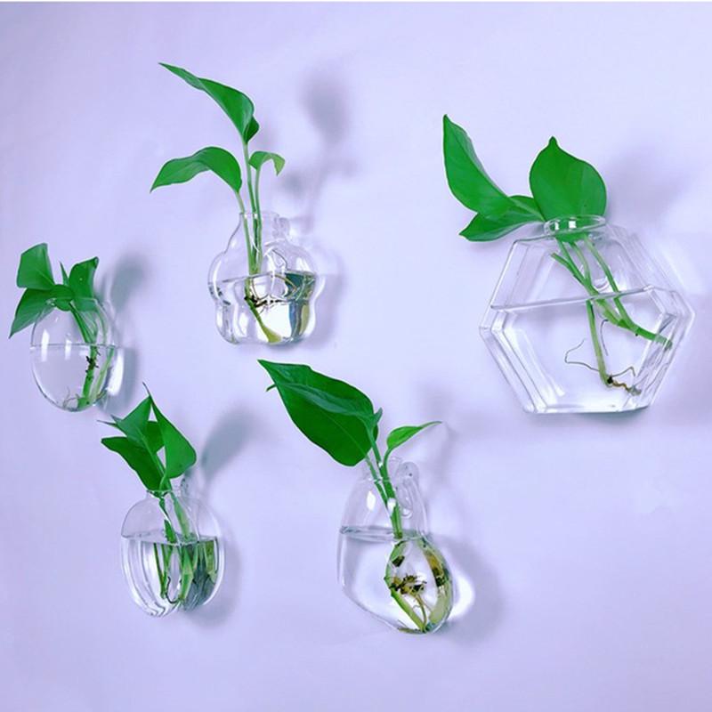 Creative Wall-Mounted Transparent Glass Vase for Plants and Fish