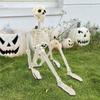 90/40CM Skeleton Halloween Decor Halloween Skeleton with Movable Joint Skeleton for Halloween Haunted House Accessories