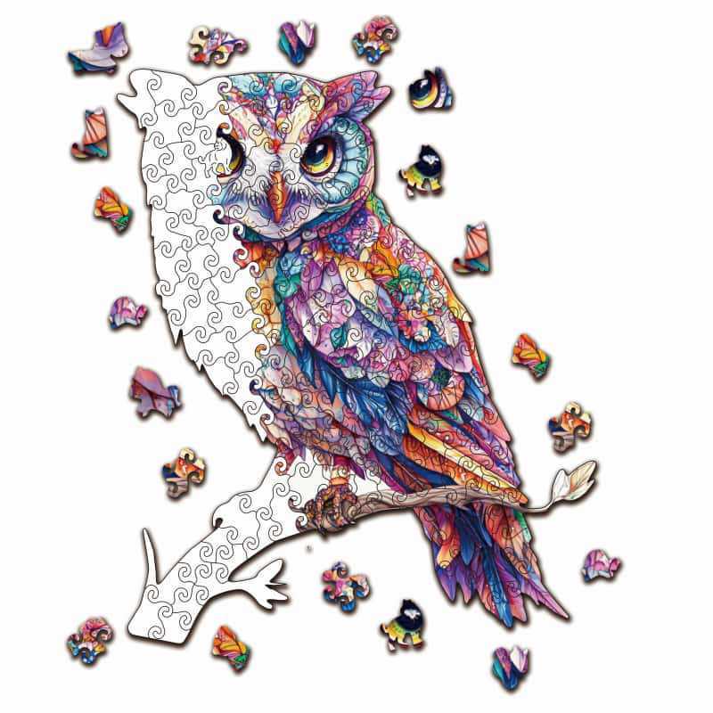 HOOLOOG Original Diamond Owl Wooden Puzzle Toy & Art Decompression Money Box