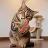 Bite-resistant Cat Toy Plush Cat Toy Realistic Plush Food Cat Toy Set Burger Hotdog Cake Chew Toys for Indoor Cats Squeaky Bone