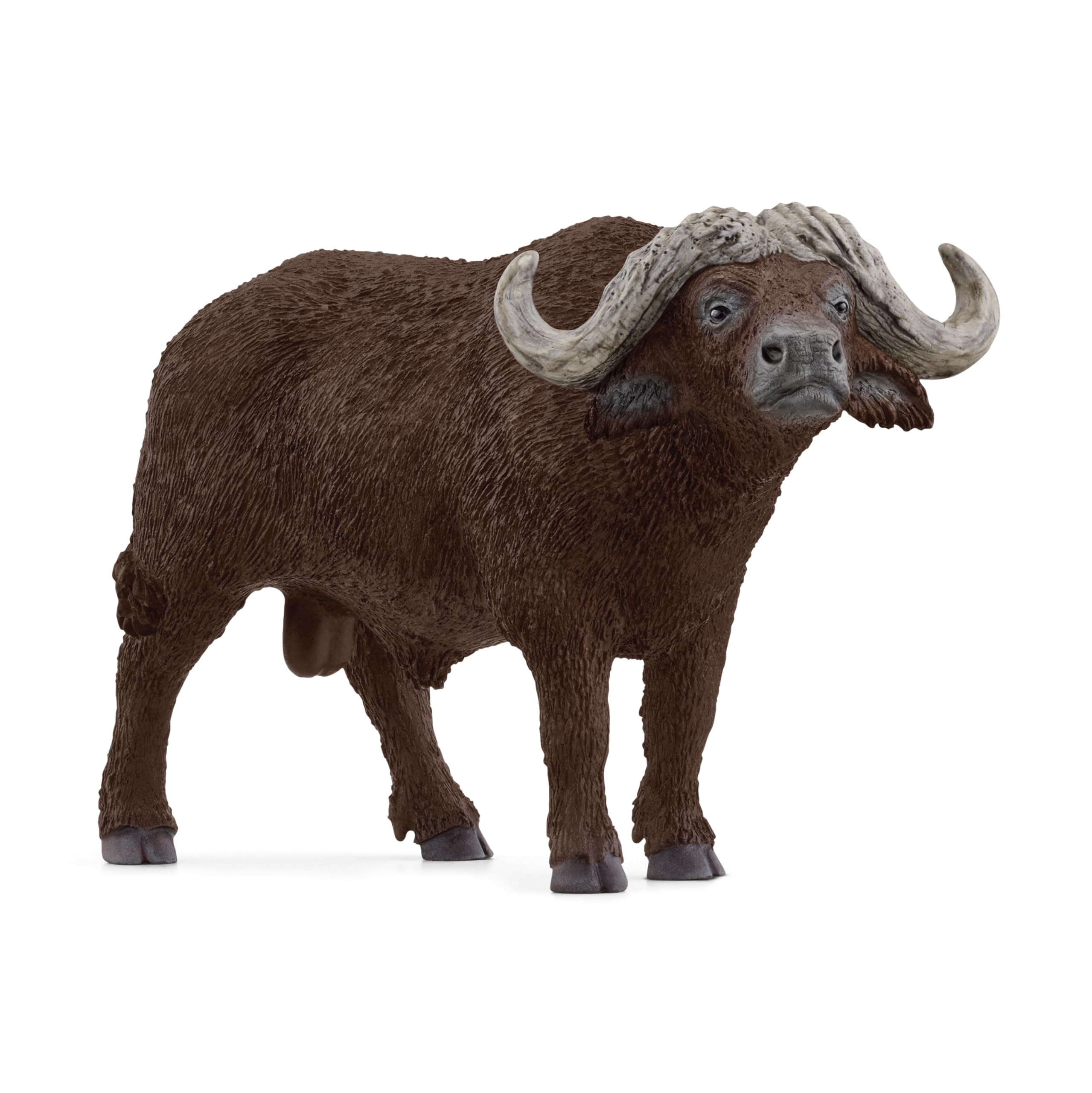 

Schleich Wildlife African Buffalo 14872
