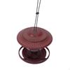 Bird Feeder, Rainproof Transparent Tank for Backyard Outdoor Decorations