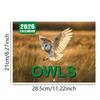 New 2026 Calendar - 12 Month Owles Wall Calendar Fun Cute Home Decor For Scheduling And More