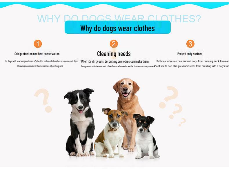 Cozy Puppy Hoodie for Pomeranian, Bichon, and Teddy Dogs - Two-Legged Fleece Sweatshirt