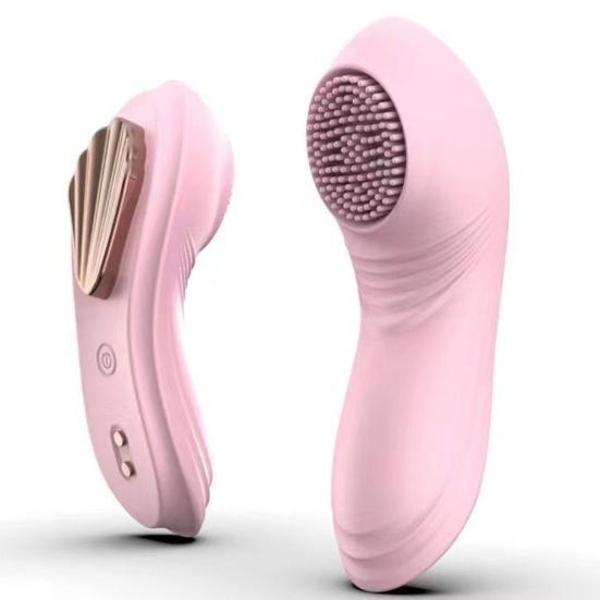 Fernbedienbarer Vibrator Magnetisch Tragbare Vibrationshöschen Mehrere Vibrationsmodi Silikon Klitoris Vagina Stimulator mit Weichen Borsten für Frauen
