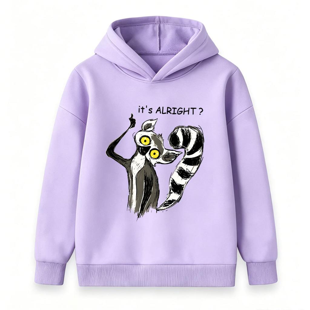 Kids Boys Girls Pullover Hoodie, Cartoon It's Alright Lemur Print Long Sleeve Casual Hooded Sweatshirt for Children Daily Casual Wear