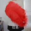 Thick Rod Wide Hair 50-55Cm Ostrich Feather Wedding Road Guide Table Flower Home Decoration Ornament Ostrich Hair White