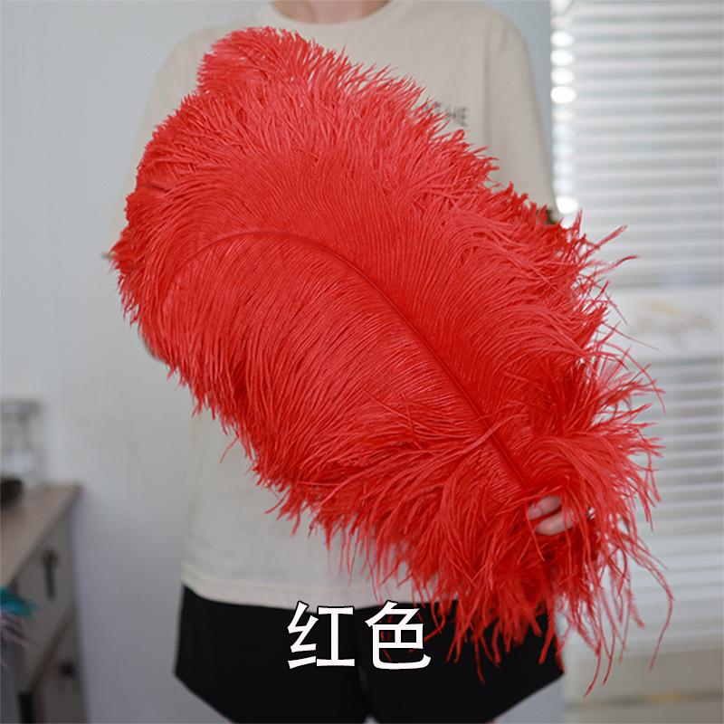Thick Rod Wide Hair 50-55Cm Ostrich Feather Wedding Road Guide Table Flower Home Decoration Ornament Ostrich Hair White