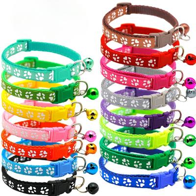 Perros – Collares y correas