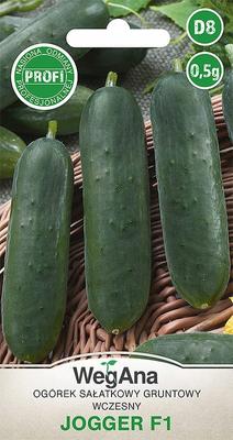 Salad Cucumber Jogger F1 0.5g Vegetable Seeds -