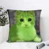 Pillow Cover Green Alien Cat Meme  Funny Pillow Case For Living Room Sofa Pillowcases
