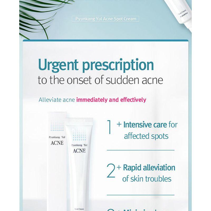 Pyunkang Yul - Acne Spot Cream 15ml