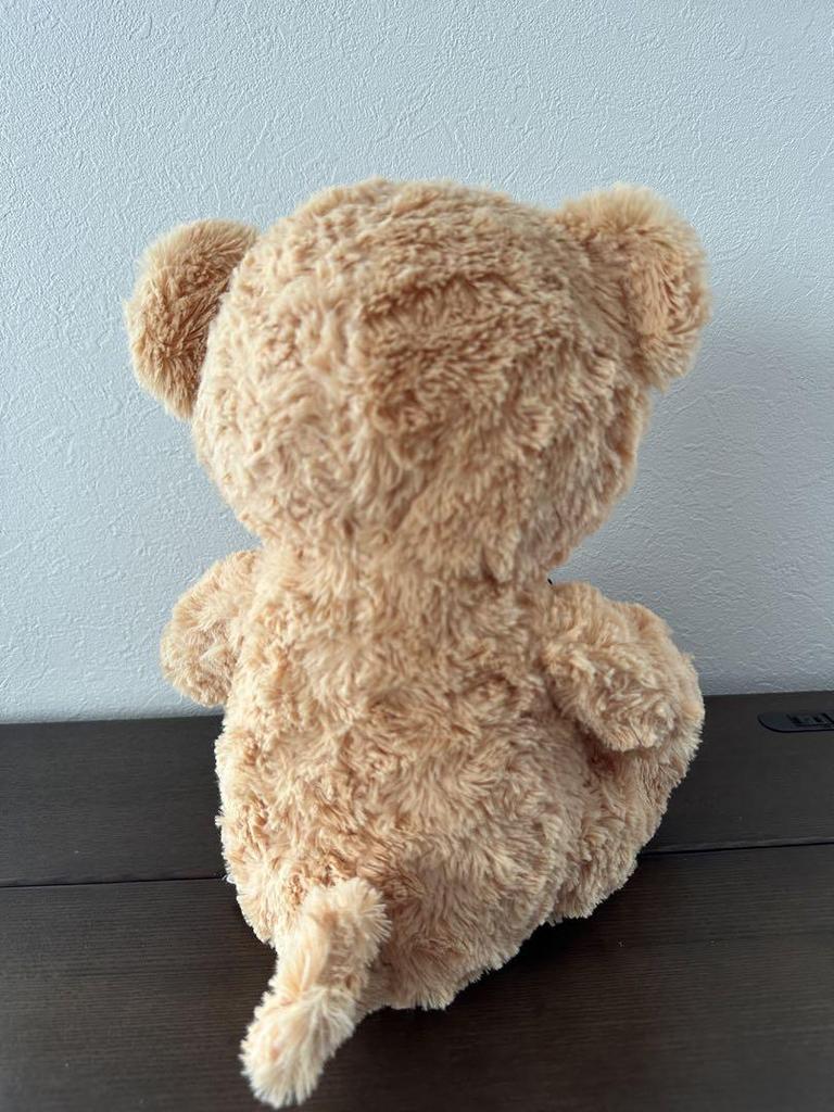 [USED] My Rose Bear YELL Teddy Bear Plush Toy 30cm