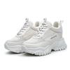 Internal height increase autumn and winter new sports and leisure dad shoes ins tide