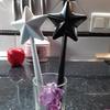 Fashion Portable Star Shaped Seasoning Wand Wand Salt Pepper Shaker