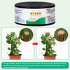 50g Pflanzenheilmittel Versiegelung Bonsai Wundheilmittel Baumschnitt Paste