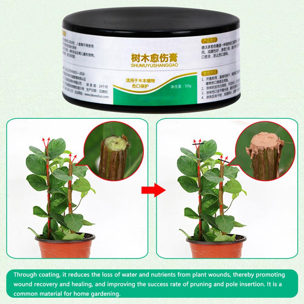 50g Pflanzenheilmittel Versiegelung Bonsai Wundheilmittel Baumschnitt Paste