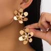 Fashion Drop Earrings For Women's Jewelry