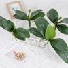 Real Touch Artificial Green Butterfly Orchid Leaf Plastic Flower Leaf Home Wedding Party Decoration