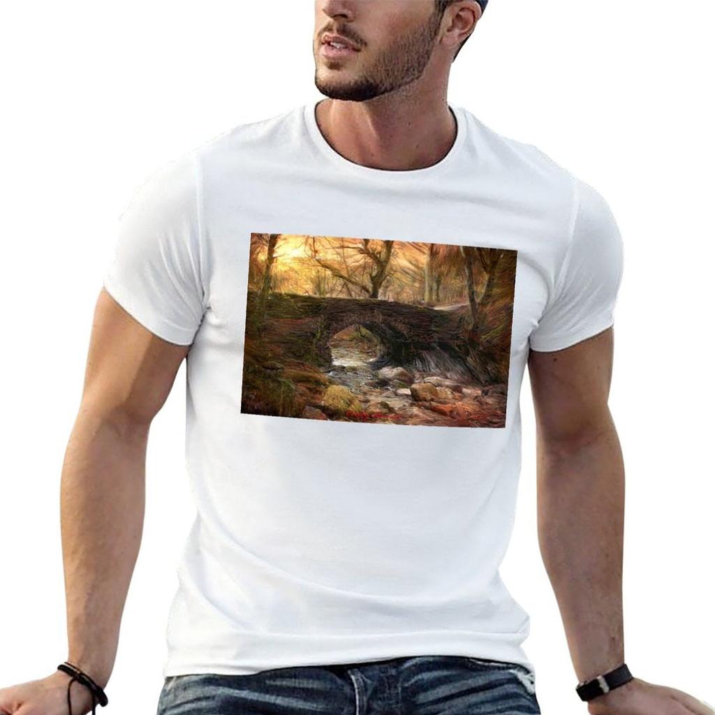 Coed Y Brenin Tshirt Casual All Match Tee Shirt For Unisex